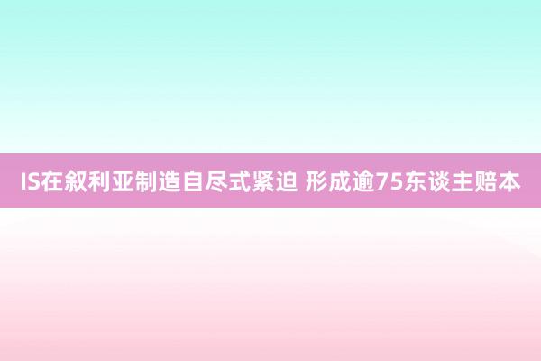 IS在叙利亚制造自尽式紧迫 形成逾75东谈主赔本